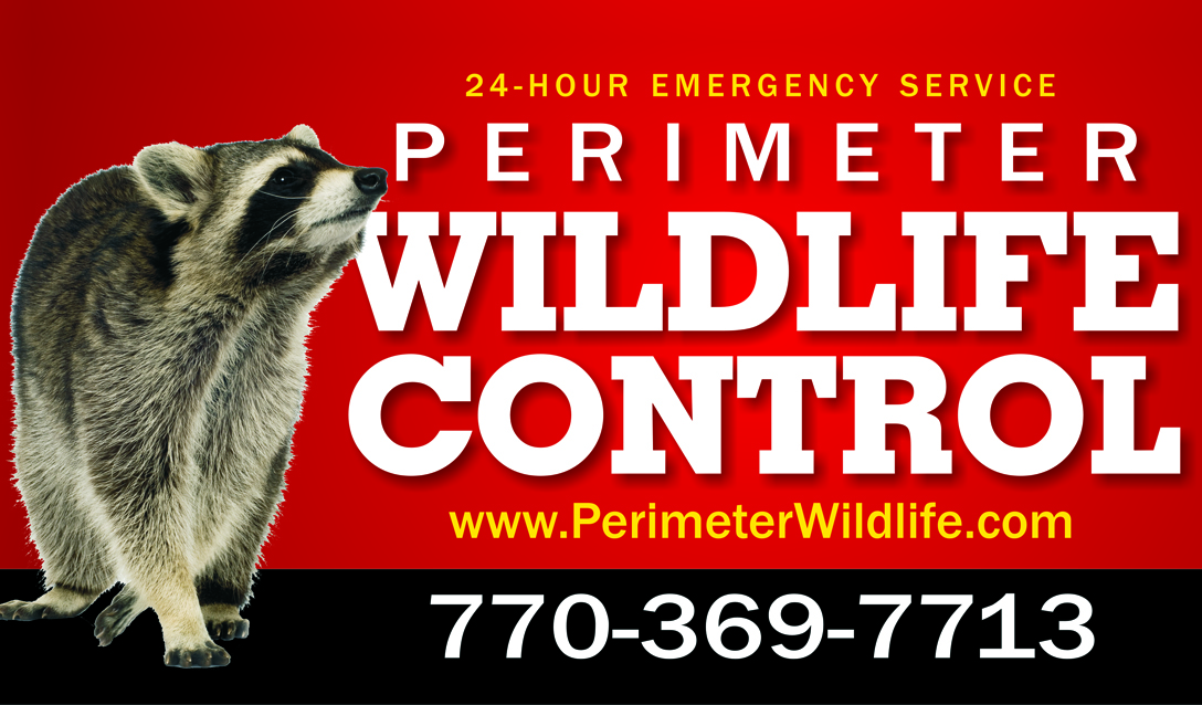 24/7 Emergency Animal Removal Atlanta GA| Perimeter Wildlife